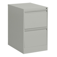 Vertical Filing Cabinet, Steel, 2 Drawers, 18-1/7" W x 25" D x 29" H, Grey Haskins Industrial Inc.