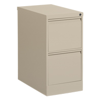 Vertical Filing Cabinet, Steel, 2 Drawers, 15-1/7" W x 25" D x 29" H, Beige Haskins Industrial Inc.