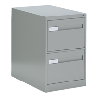 Vertical Filing Cabinet with Recessed Drawer Handles, 2 Drawers, 18.15" W x 26.56" D x 29" H, Grey Haskins Industrial Inc.