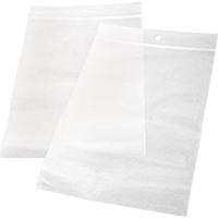 Zipper Storage Bags, Reclosable, 20" x 20", 2 mils Haskins Industrial Inc.