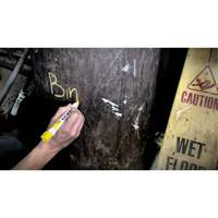 Quik Stik&reg; Twist-Up Paint Markers, Solid Stick, White Haskins Industrial Inc.