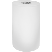 Removable Protective Film, Vinyl, 305 mm (12") W x 201.2 m (660') L, 4 mils Thick Haskins Industrial Inc.