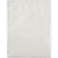 Poly Bags, Reclosable, 12" x 10", 2 mils Haskins Industrial Inc.