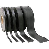 Porte-&eacute;tiquette, Magn&eacute;tique, 600" lo x 2" la Haskins Industrial Inc.