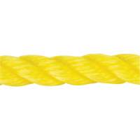 Braided Yellow Rope, Polypropylene, 144' Haskins Industrial Inc.