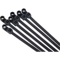 Attache-c&acirc;ble &agrave; visser, Longueur 8", R&eacute;sistance &agrave; la traction 50 lb, Noir Haskins Industrial Inc.