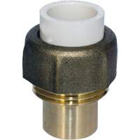 Raccord union, 1/2", PVC-C, Embout femelle x bras&eacute; Haskins Industrial Inc.