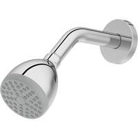 One-Function Showerhead Haskins Industrial Inc.