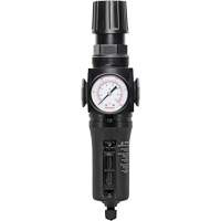 Manual Drain Filter/Regulator with Metal Bowl Modulair 300, 1/4" NPT, 250 PSI, 5.1 fl. oz. Capacity Haskins Industrial Inc.