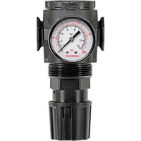 Regulator with Gauge Modulair 300, 1/4" NPT, 300 psi Max. PSI, In Line/Modular Haskins Industrial Inc.