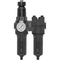 Manual Drain Filter, Regulator & Coalescing Filter with Metal Bowl Modulair 400, 1/4" NPT, 200 psi, 9.1 fl. oz. Capacity Haskins Industrial Inc.