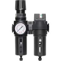 Filter/Regulator & Coalescing Filter Modulair 300 with Standard Bowl & Manual Drain, 3/8" NPTF, 150 PSI, 5.12 fl. oz. Capacity Haskins Industrial Inc.