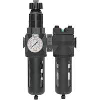 Filter/Regulator & Coalescing Filter Modulair 400 with Standard Bowl & Manual Drain, 3/4" NPTF, 150 PSI, 9.13 fl. oz. Capacity Haskins Industrial Inc.