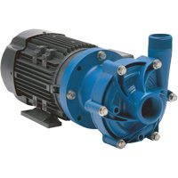 Magnetic Drive Pump with Carbon Bushing Haskins Industrial Inc.