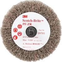 Scotch-Brite Roloc Cut and Polish Flap Brush, PF-ZR, Aluminum Oxide, Medium Grit, 2-1/2" x 1-1/4" Haskins Industrial Inc.