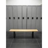 Banc pour vestiaire, Bois, 48" lo x 9-1/4" la x 16-1/2" h Haskins Industrial Inc.