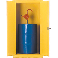 Drum Safety Cabinets, 55 US gal. Cap., Yellow Haskins Industrial Inc.
