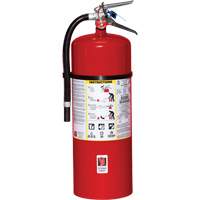 Fire Extinguisher, ABC, 20 lbs. Capacity Haskins Industrial Inc.