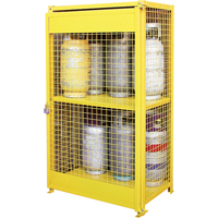 Gas Cylinder Cabinets, 12 Cylinder Capacity, 44" W x 30" D x 74" H, Yellow Haskins Industrial Inc.