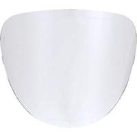 Lentilles de rechange Haskins Industrial Inc.