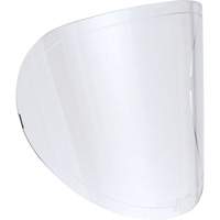 Lentilles de rechange Haskins Industrial Inc.