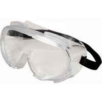 Encompass Safety Goggles, Clear Lens, Anti-Fog, Indirect Vent Haskins Industrial Inc.