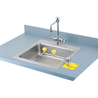 Swing-Away Eyewash Station, Counter-Mount Installation Haskins Industrial Inc.