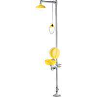 Combination Shower Eye/Face Wash With Cover Haskins Industrial Inc.