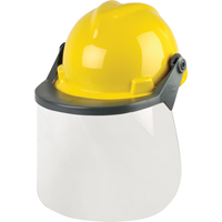 Head & Face Protection Systems Haskins Industrial Inc.