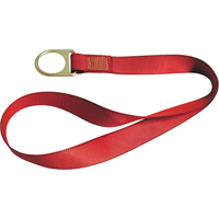 PointGuard Anchorage Connector Straps, D-Ring, Temporary Use Haskins Industrial Inc.