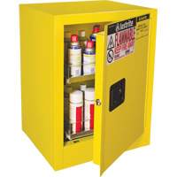 Armoire de s&eacute;curit&eacute; d'&eacute;tabli pour produits inflammables EX Sure-Grip, 24 gal., 1 Porte(s), 21" La x 27" h x 18" p Haskins Industrial Inc.