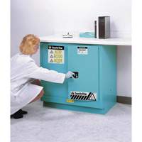 Armoires de s&eacute;curit&eacute; pour acides & produits corrosifs avec doublure ChemCor, 22 gal., 35" x 35" x 22" Haskins Industrial Inc.