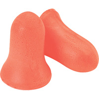 Howard Leight Maximum Earplugs, Bulk - B Haskins Industrial Inc.