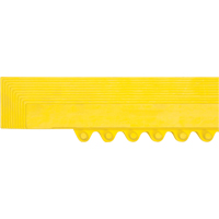 Rampe de bordure pour tapis Haskins Industrial Inc.