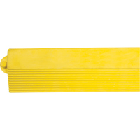 Rampe de bordure pour tapis Haskins Industrial Inc.