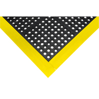 Rampe de bordure pour tapis Haskins Industrial Inc.