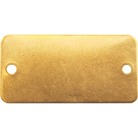 Blank Tags, Brass, 2" W x 1" H Haskins Industrial Inc.