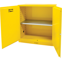 Flammable Storage Cabinet, 30 gal., 2 Door, 43" W x 44" H x 18" D Haskins Industrial Inc.