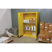 Flammable Storage Cabinet, 45 gal., 2 Door, 43" W x 65" H x 18" D Haskins Industrial Inc.