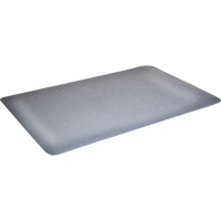 Tapis antimicrobiens WD Foodmaster, Lisse, 3' x 4' x 9/16", Gris, Mousse de vinyle Haskins Industrial Inc.