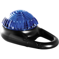 TAG-IT Guardian Warning Light, Continuous/Flashing, Blue Haskins Industrial Inc.