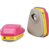 Cartouches pour respirateur s&eacute;rie 6000, Cartouche gaz/vapeur, Vapeurs organiques/Gaz acides/P100 Haskins Industrial Inc.