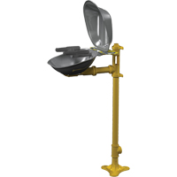 Halo Face/Eyewash Stations, Pedestal Installation, Stainless Steel Bowl Haskins Industrial Inc.