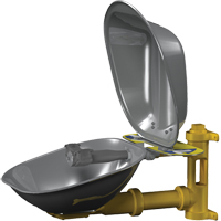Halo Eyewash Stations, Wall-Mount Installation, Stainless Steel Bowl Haskins Industrial Inc.