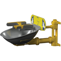 Halo Face/Eyewash Stations, Wall-Mount Installation, Stainless Steel Bowl Haskins Industrial Inc.