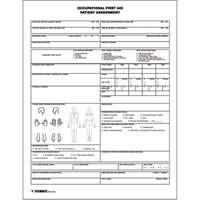 Patient Assessment Chart Haskins Industrial Inc.