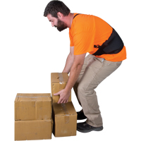 Back Support, Elastic, Medium Haskins Industrial Inc.