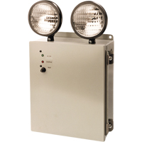 Emergency Lighting Units