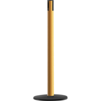 Advance TensaBarrier&reg; - Receiver Post, 36" High, Yellow Haskins Industrial Inc.
