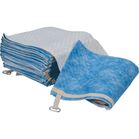 Balayage absorbant pour huile seulement Haskins Industrial Inc.